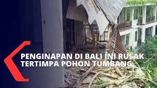 4 Penginapan di Bali Ini Rusak Tertimpa Pohon Tumbang