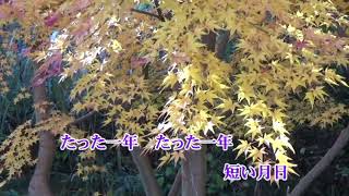 《新曲》「叶わぬ恋」角川博　カバー越後屋小助