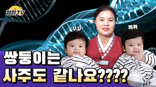 (용한점집) 쌍둥이는 사주도 똑같을까요...?? [점점tv정주행하기]