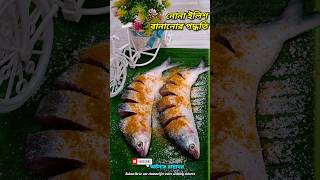 নোনা ইলিশ কি ভবে বানালাম | How to Prepare Nona Ilish | Hilsha Fish