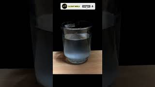 Density of water experiment #shorts #hacks