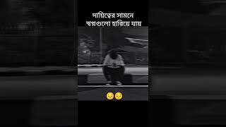 দায়িত্ব যখন আসে 😔