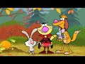 nature cat daisy s pretty pumpkin pbs kids