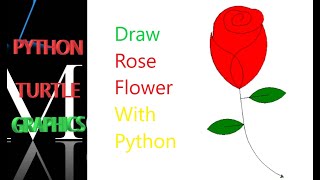 Draw Rose Flower With Python Turtle | Python turtle Graphics |