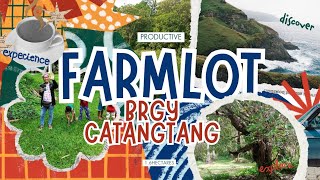 V#132- 1.6hectares farmlot for sale brgy catangtang calauag quezon 1.6M seller price