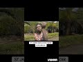 St James Anglican Choir (kasungu)