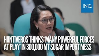 Hontiveros thinks ‘many powerful forces at play’ in 300,000 MT sugar import mess