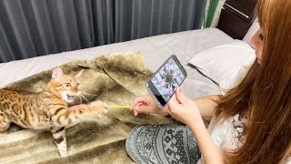 すごいカメラを見つけたので動物達のおもしろ映像を撮ってみた！