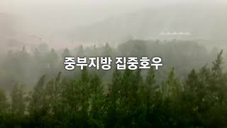 [나이트포커스] 중부지방 집중호우 '비상'...많은 곳 300mm 이상 / YTN