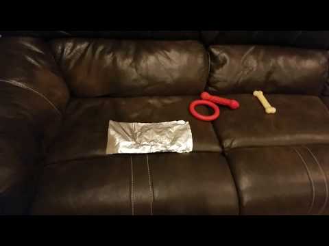 How to keep dogs off of any couch! (actually works) How to keep dogs off of any couch! (actually works)