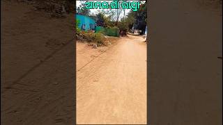 ଆମର ଗାଁ ରାସ୍ତା || my village road #village #road #digambarbroo