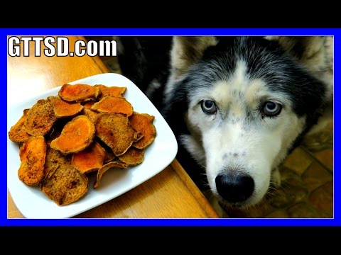 DIY SWEET POTATO DOG TREATS | Snow Dogs Snacks 39 | Gluten Free Dog Treats DIY SWEET POTATO DOG TREATS | Snow Dogs Snacks 39 | Gluten Free Dog Treats