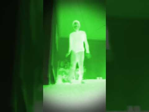 Really That Stupid Youtube