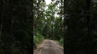 Rajathottam view point- Most attractive hillstation in kerala- hillstation-travel video- travel vlog