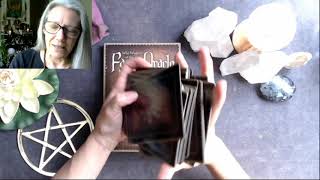 Unboxing: Wild Wisdom of the Faery Oracle