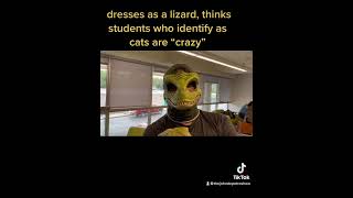The ccri lizard
