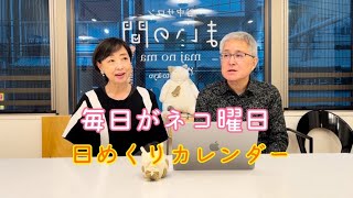 毎日がネコ曜日　2025日めくりカレンダー絶賛発売中