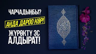 Жүрөктү эс алдырган КУРАН!