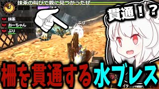 【MH4G】当然のように柵を貫通してくる水ブレスに笑う抹茶【2024/5/12】