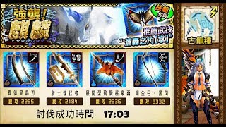 【MHXR】危險度7：「麒麟」隨意組合 17\