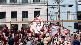 山口大学よさこいやっさん‼︎黒崎よさこい祭り2023 本祭「樂華」2代演舞（20.22代目）中央三角公園会場