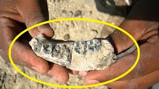 11 Unbelievable Discoveries in Science