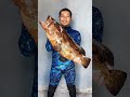 kumpulan hasil memanah menembak spearfishing #short #shorts #shortvideo #laut #ikan #spearfishing