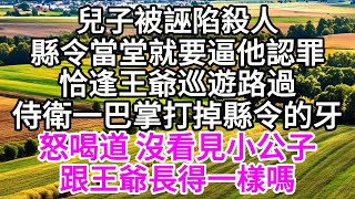 兒子被誣陷殺人，縣令當堂就要逼他認罪，恰逢王爺巡遊路，過侍衛一巴掌打掉縣令的牙，怒喝道，沒看見小公子跟王爺長得一樣嗎 【美好人生】