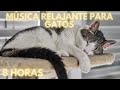 #78🐱Música Diseñada para Gatos 🐱 Música calmante para Dormir Gatos y Gatitos Inquietos