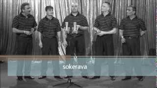 Čhave jilestar -Sokerava