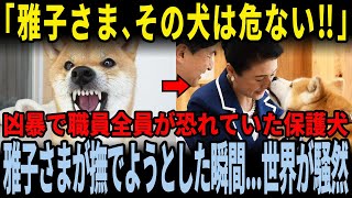 雅子さまが誰にも懐かず凶暴で職員全員が恐れていた保護犬に取ったまさかの行動に世界が騒然