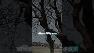 মাহে রোমজান সামনে সবাই সবার জন্য দোয়া করবেন রোমজান মাসে🤲🕌🕋 #foryou #iclamic#islamicquotes#viralvideo