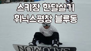 스키장 가는길 휘닉스 평창 블루동