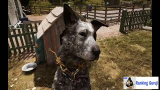 Far Cry 5  Man's Best Friend || Pet Boomer