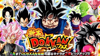 SHOULD YOU SUMMON For 2025 Dokkan New Years Step Ups?