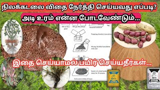 நிலக்கடலை பயிர் செய்யவிருக்கும் விவசாயிகள் இதை மறவாதீர்கள்🥜 Groundnut cultivation farmers important