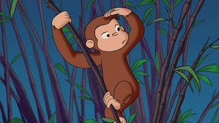 Coco verirrt sich im Zoo | Coco der Neugierige | Cartoons für Kinder