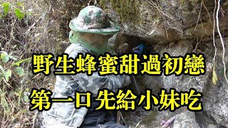 野生蜂蜜甜过初恋，撬开大山石缝意外收获十多斤野生蜂蜜，第一口给小妹吃，希望她能收获甜美的爱情【农村阿琪】