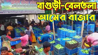 Beltola Mango Market of Jessore-Satkhira || যশোরের বিখ্যাত আমের বাজার