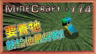 MineCraft 我的世界1.12原始微安價生存#114 要養他就要給他最好的