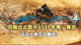 河南挖出中華第一龍，距今6000多年，專家：古人見過或真實存在 #鉴证史者 #古董 #開棺 #古墓 #考古發現