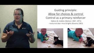 Enrichment for Shelter Cats - conference recording
