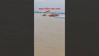 বন্যার পানিতে ভেসে গেলো ফেনি..🥹#ফেনী #feni #বন্যা_পরিস্থিতি