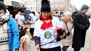 OLSZTYN24: 26. Finał Wielkiej Orkiestry Świątecznej Pomocy w Olsztynie (1)