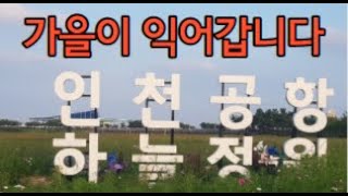 인천공항 하늘정원을 소개합니다. 서울 근교 나들이 장소로 최적