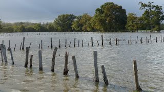 Crues, inondations et bras oubliés de la Vilaine à Acigné (35) en 2019-2020