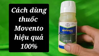 Cách sử dụng Movento hiệu quả 100%