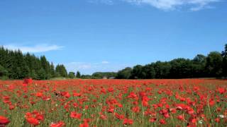 Saaremaa valss - Georg Ots