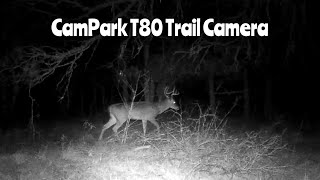 CamPark T80 Trail Camera Nov. 12-16, 2024