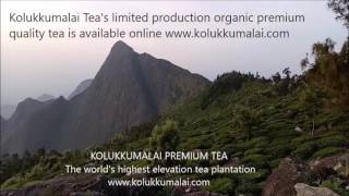 Kolukkumalai Tea Estate: Premium Tea